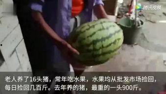 网友都去哪里吃瓜,网友热议的“吃瓜”圣地大盘点