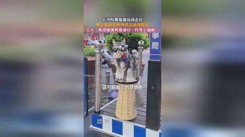 站岗吃瓜,揭秘军营里的趣味生活瞬间