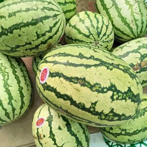 回家吃的瓜,品味温馨回家路