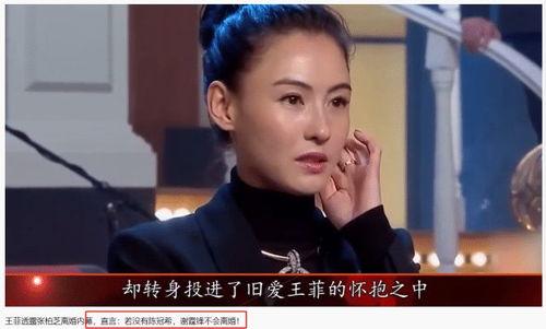 明星吃瓜王菲谢霆锋,明星吃瓜盛宴再掀波澜