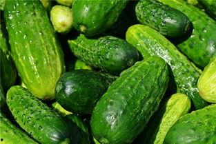 孕妇梦到摘红瓜吃瓜,红瓜的神秘寓意与甜蜜启示