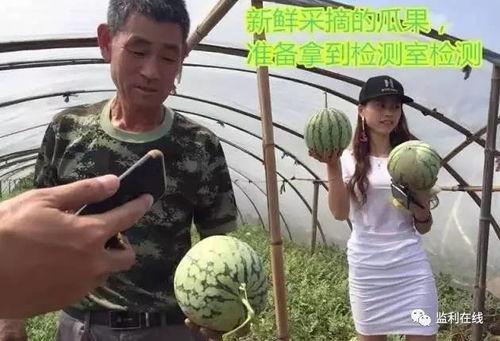 吃瓜群众直播回放