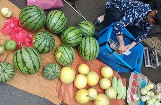 熙熙在吃瓜,揭秘娱乐圈幕后故事