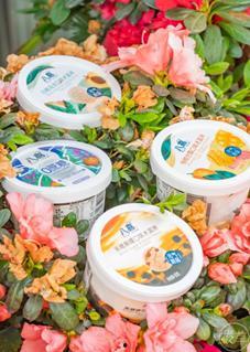 瓜妹吃冰淇淋,甜蜜滋味，清凉一夏