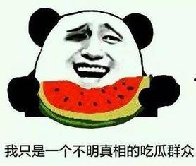 吃瓜不能将就,品味生活的甜蜜与苦涩