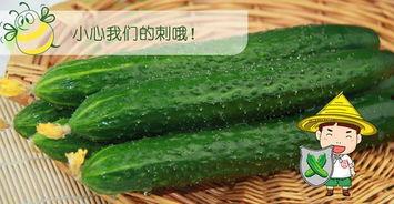 吃瓜推荐多了,海量推荐，解锁你的味蕾新世界