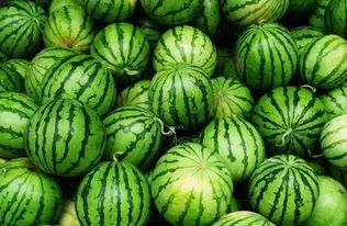 最厉害的吃瓜技巧,掌握这些技巧，让你成为朋友圈焦点！