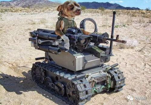 刨土机器人吃瓜,智能农业的“吃瓜”新宠