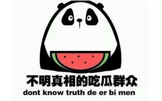 怎么在群里吃瓜,揭秘如何在社交圈轻松吃瓜