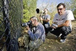 狗仔吃瓜文章,揭秘娱乐圈的幕后真相与八卦风云