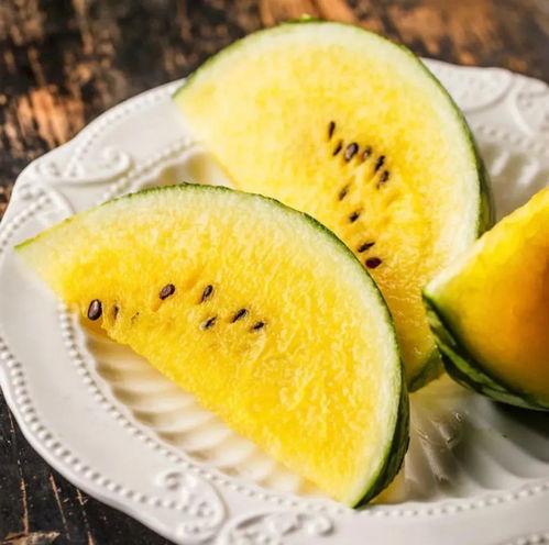 伶仃洋吃瓜,一场别开生面的海上盛宴