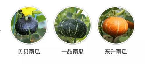 吃瓜发现自己才是瓜,一场意外的自我认知之旅