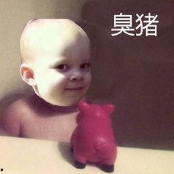 吃瓜楞住表情包,揭秘网络热图的魅力与影响力