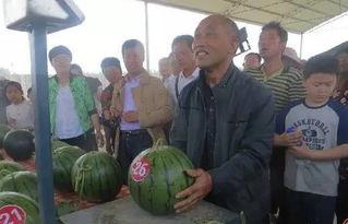 大东区吃瓜群众,揭秘社区生活百态