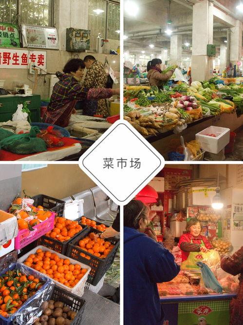 利辛城东吃瓜,一场热闹非凡的吃瓜盛宴