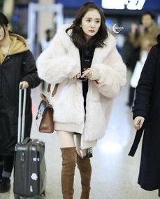 皮外套吃瓜,揭秘时尚界的秘密花园