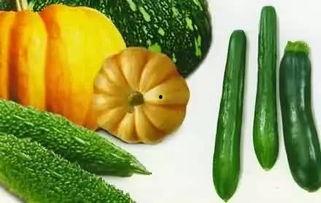 青岛甜水哥吃瓜,揭秘网红吃瓜背后的故事