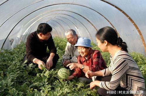 老太吃瓜视频,揭秘网络热点的背后故事