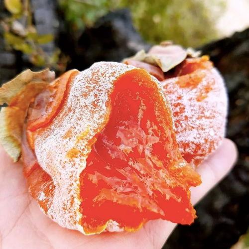 空腹吃瓜霜柿饼,养生美食的甜蜜诱惑