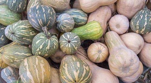 天气吃瓜在线,跟随天气吃瓜指南，解锁清凉一夏