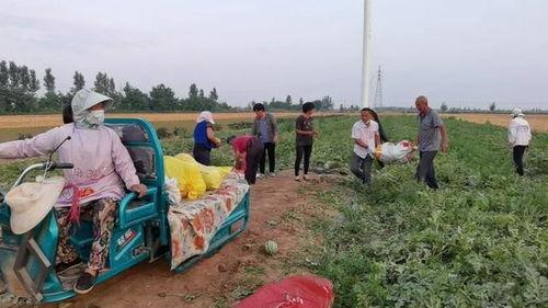 群众吃瓜群广告,揭秘“吃瓜群众”背后的广告营销奥秘