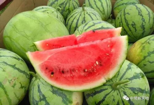 仲夏吃瓜怎么吃